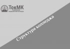Структура колледжа