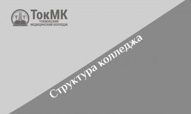 Структура колледжа