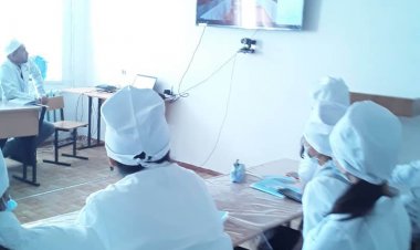 Виртуальный академический обмен.