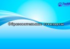 Образовательные стандарты