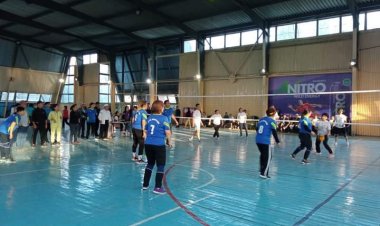 Волейбольный кубок (архив)