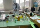 Practical Part — Final State Attestation Specialty: Pharmacy
