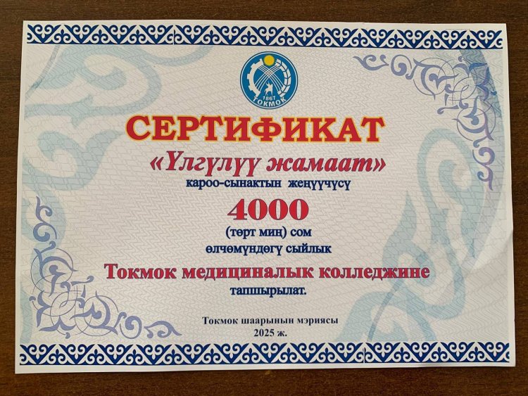 «Образцовый коллектив»